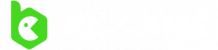 bcgame logo